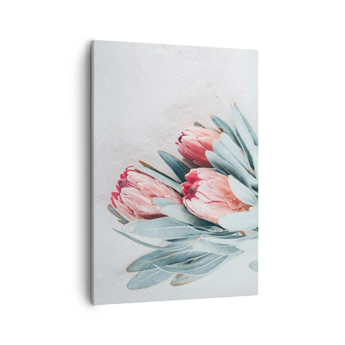 Cuadro sobre lienzo - Impresión de Imagen - Sutiles flores de protea rosa sobre un fondo claro. - 50x70cm - Avergonzada de su propia belleza - Decoración de pared moderna para salón y dormitorio ARTTOR