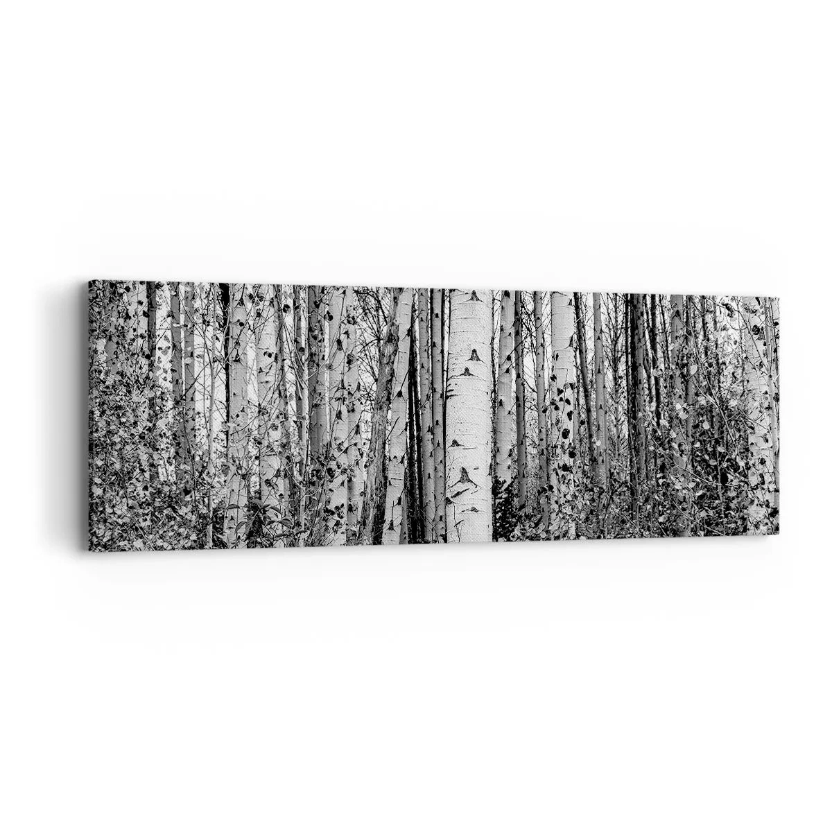 Cuadro sobre lienzo - Impresión de Imagen - Columnas de abedules - 90x30 cm