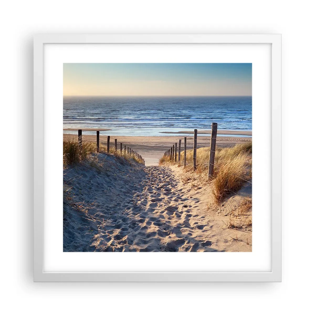 Póster en marco blanco - El sonido del mar, el canto de los pájaros, una playa virgen entre las dunas... - 40x40 cm