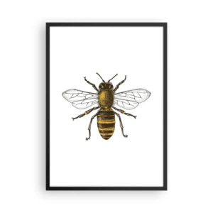 Póster en marco negro - Ilustración de detalle de abeja vintage - 50x70cm - Bondad natural - Decoración de pared moderna para salón y dormitorio ARTTOR