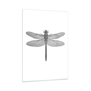 Cuadro sobre vidrio - Impresiones sobre Vidrio - Ilustración detallada de una libélula en estilo grabado sobre un fondo blanco. - 50x70cm - Precisión de la naturaleza - Decoración de pared moderna para salón y dormitorio ARTTOR