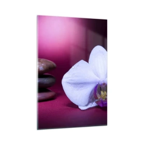 Cuadro sobre vidrio - Impresiones sobre Vidrio - Orquídea blanca y piedras sobre fondo rosa. - 80x120cm - Estudio de frescura en violeta - Decoración de pared moderna para salón y dormitorio ARTTOR