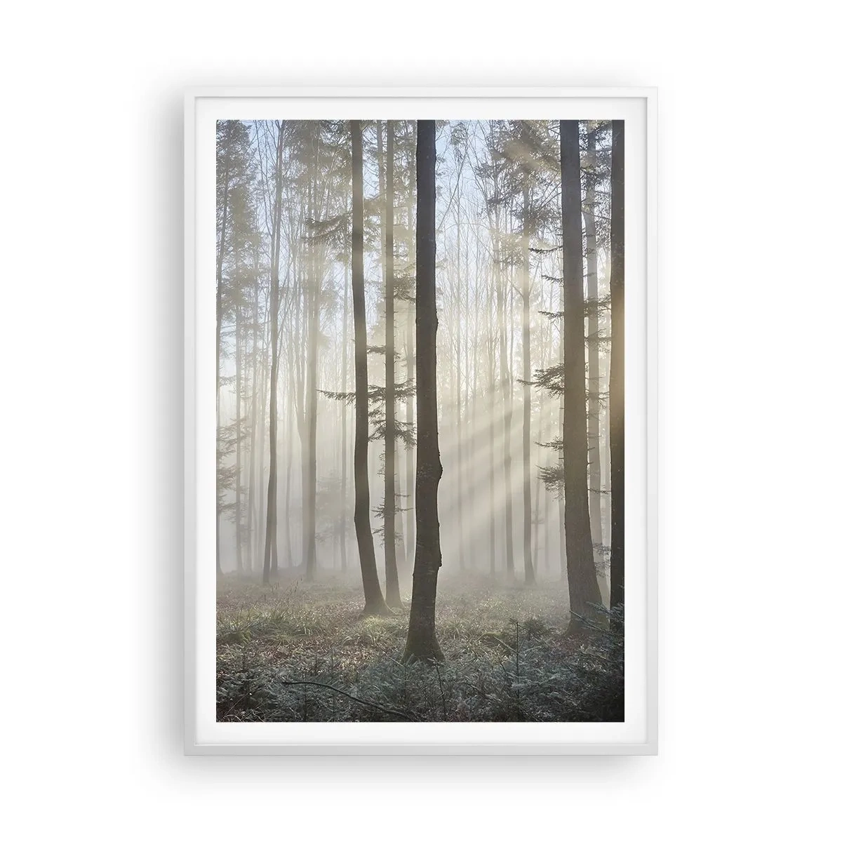Póster en marco blanco - La niebla también está despierta - 70x100 cm