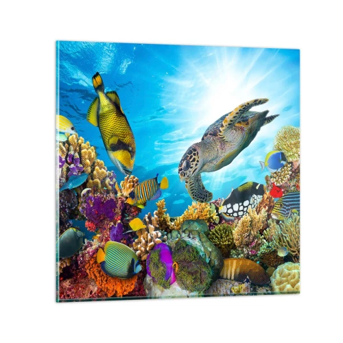 Cuadro sobre vidrio - Impresiones sobre Vidrio - Paseo del coral - 60x60 cm