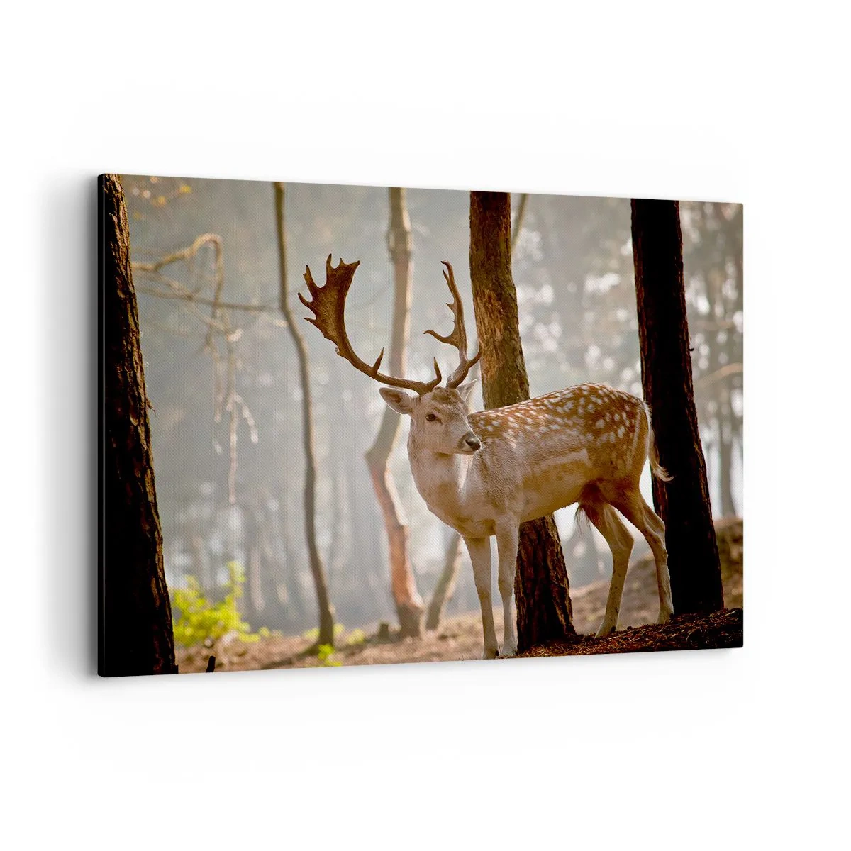 Cuadro sobre lienzo - Impresión de Imagen - Ciervos en el bosque en la niebla de la mañana. - 100x70cm - La luz de la juventud - Decoración de pared moderna para salón y dormitorio ARTTOR