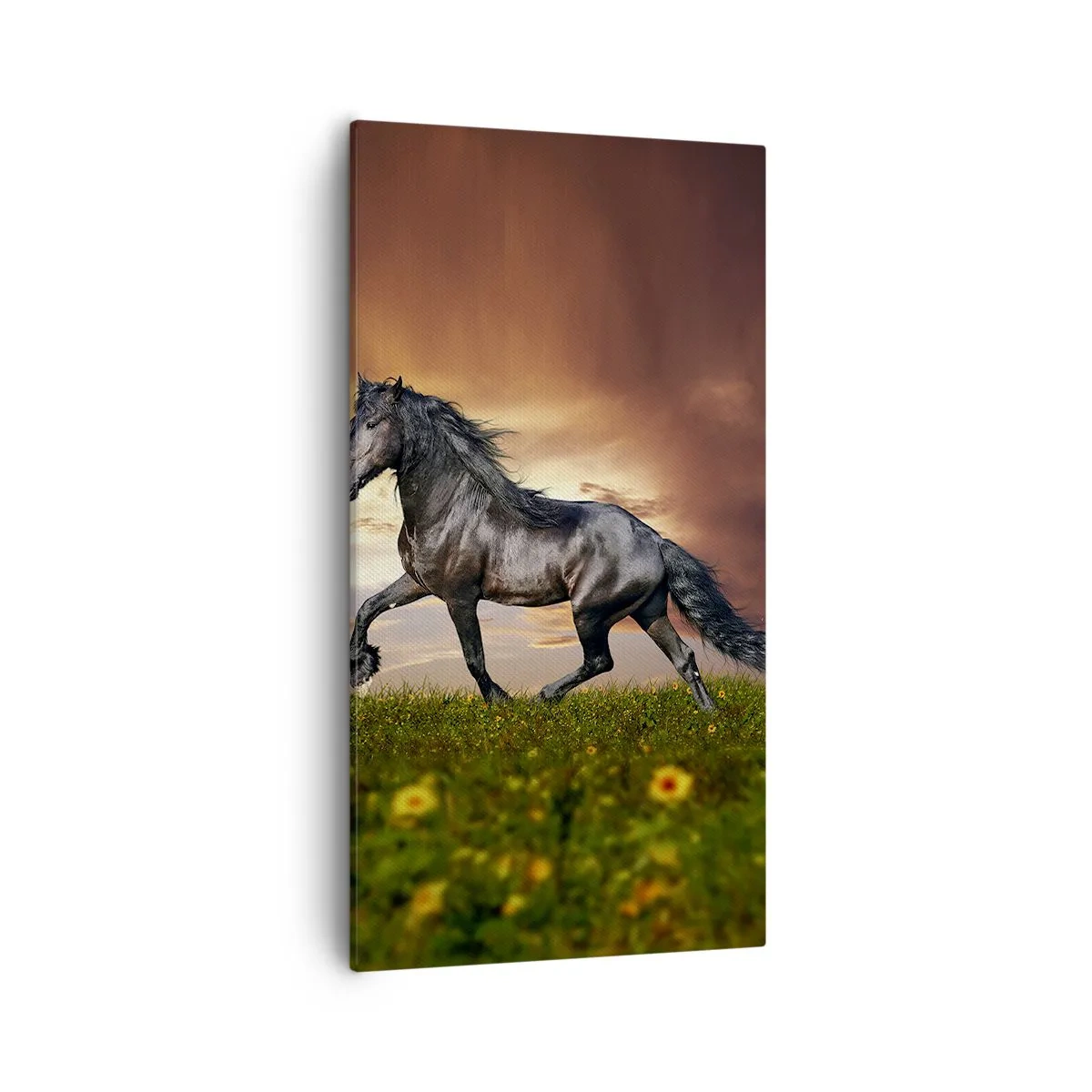 Cuadro sobre lienzo - Impresión de Imagen - Príncipe negro - 55x100 cm