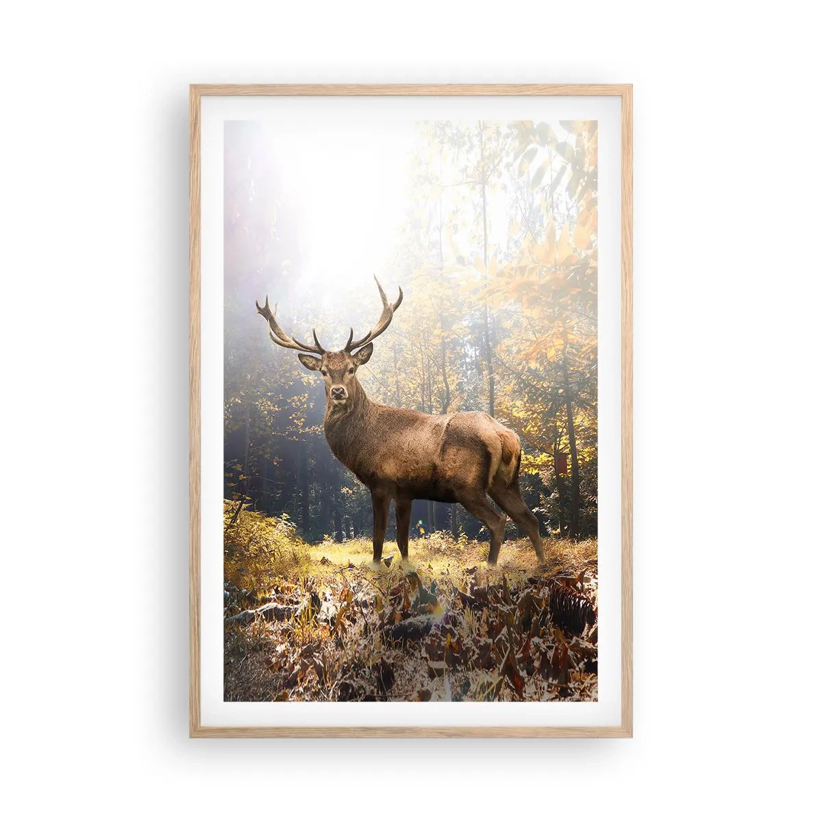 Póster en marco roble claro - Con toda la majestuosidad - 61x91 cm