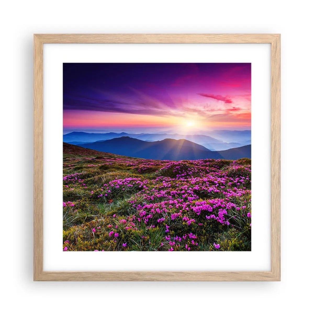 Póster en marco roble claro - Dulce aroma a frescura - 40x40 cm