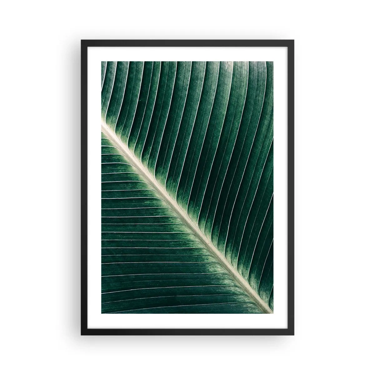 Póster en marco negro - Detalle de una hoja verde con venas visibles - 50x70cm - El ritmo de la naturaleza - Decoración de pared moderna para salón y dormitorio ARTTOR