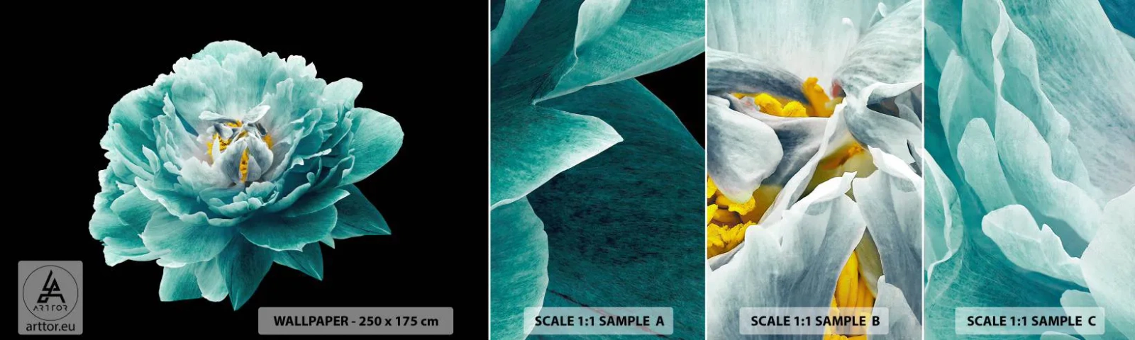 Muestra De Fotomural Standard Eco - Pétalos azules y dorados - Flor, Floreciente, Peonía - 100x30 cm