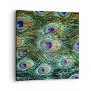 Cuadro sobre lienzo - Impresión de Imagen - Mirada de pavo real - 40x40 cm
