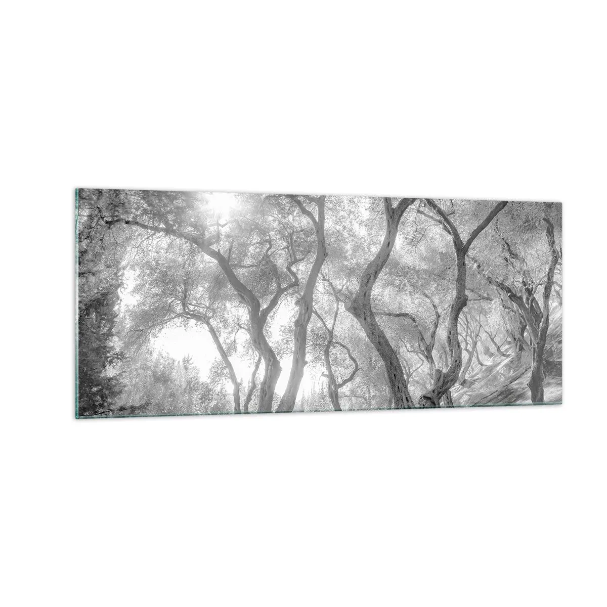 Cuadro sobre vidrio - Impresiones sobre Vidrio - En un olivar - 100x40 cm