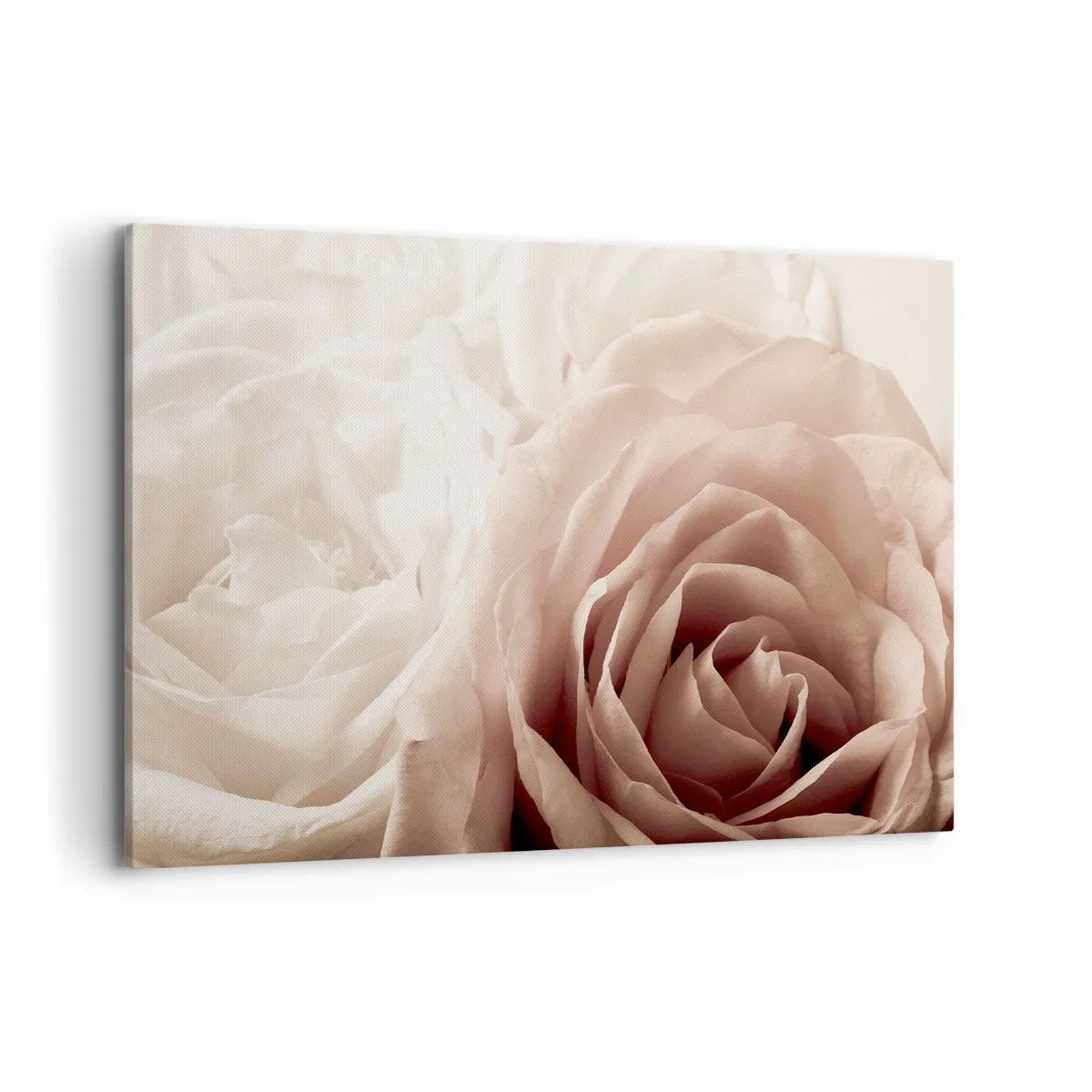 Cuadro sobre lienzo - Impresión de Imagen - Delicadas rosas en tonos pastel beige. - 100x70cm - En el corazón de una rosa - Decoración de pared moderna para salón y dormitorio ARTTOR