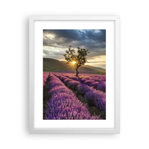 Póster en marco blanco - Aroma en lila - 30x40 cm