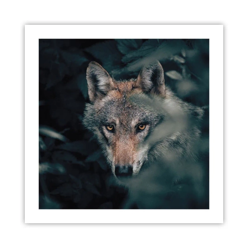 Póster - Cazador - 50x50 cm
