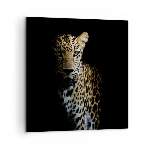 Cuadro sobre lienzo - Impresión de Imagen - Belleza oscura - 60x60 cm