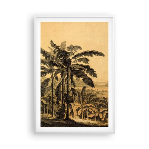 Póster en marco blanco - En un ambiente colonial - 61x91 cm