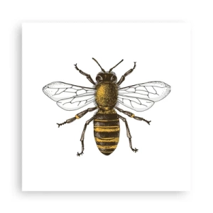 Póster - Bondad natural - 30x30 cm