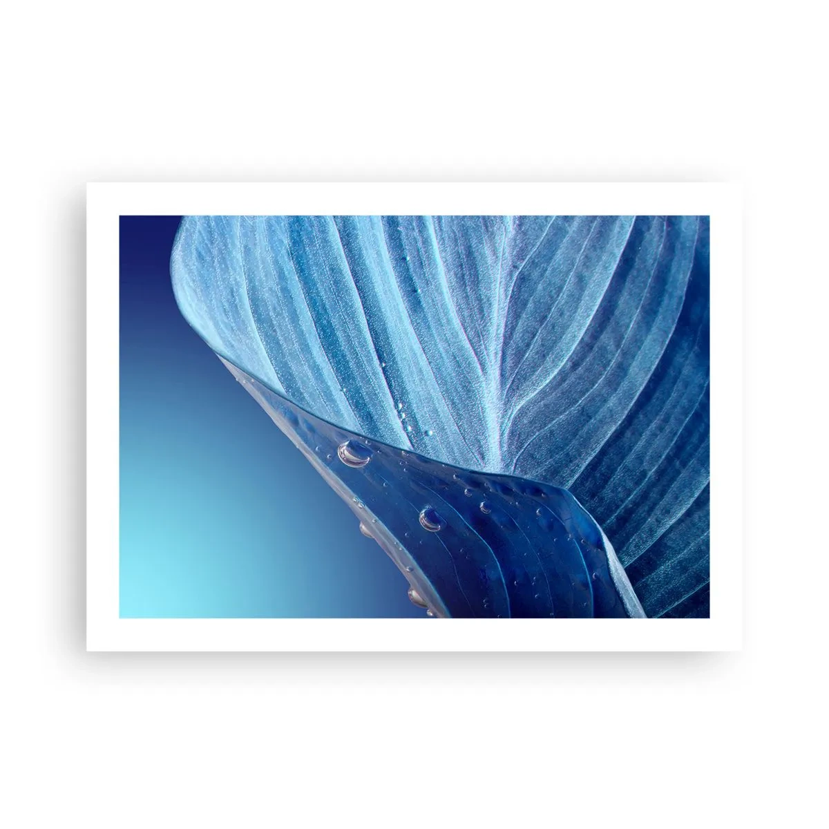 Póster - Gotas ocultas de azul - 70x50 cm