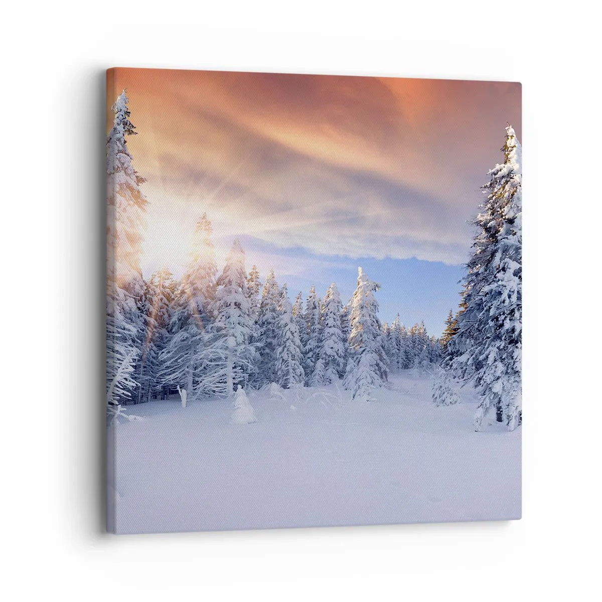 Cuadro sobre lienzo - Impresión de Imagen - Un espectáculo de naturaleza nevada - 30x30 cm