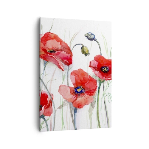 Cuadro sobre lienzo - Impresión de Imagen - Amapolas de acuarela sobre un fondo delicado - 50x70cm - Flores polacas - Decoración de pared moderna para salón y dormitorio ARTTOR