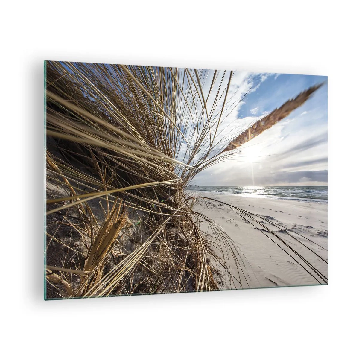 Cuadro sobre vidrio - Impresiones sobre Vidrio - Césped dorado con el telón de fondo de una playa de arena y el mar. - 70x50cm - Una reunión de los elementos - Decoración de pared moderna para salón y dormitorio ARTTOR