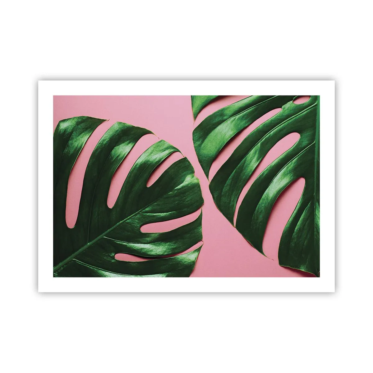 Póster - Cita con el verde - 70x50 cm