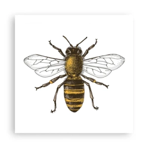 Póster - Bondad natural - 50x50 cm