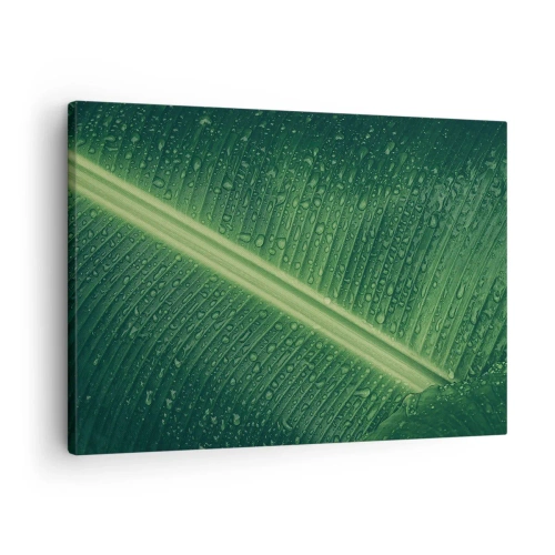 Cuadro sobre lienzo - Impresión de Imagen - Una hoja verde con gotas de agua en su superficie. - 70x50cm - Estructura del verde - Decoración de pared moderna para salón y dormitorio ARTTOR