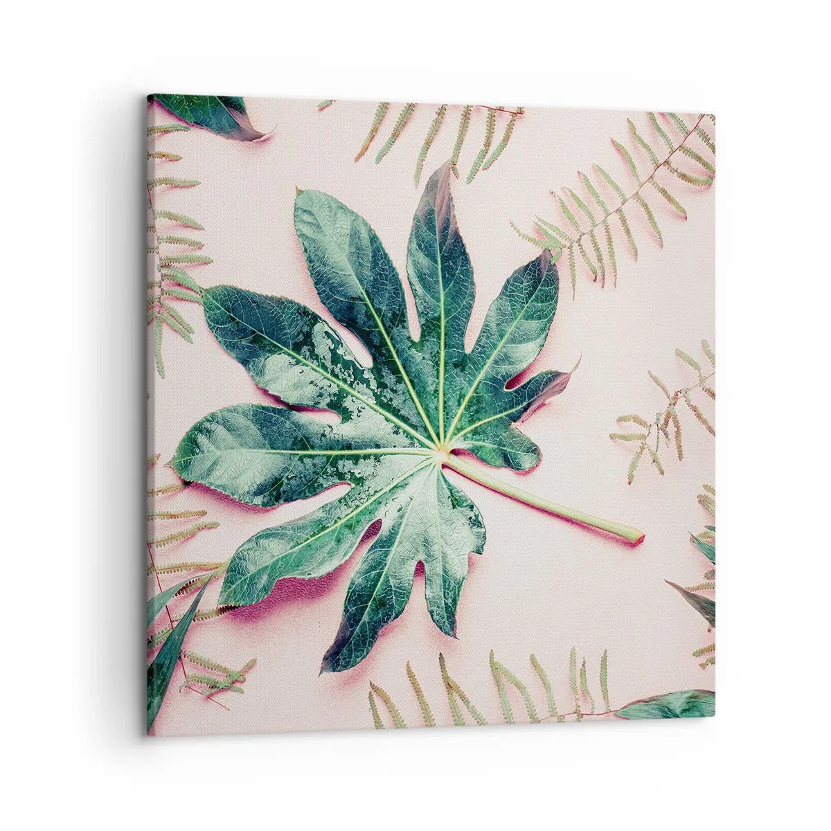 Cuadro sobre lienzo - Impresión de Imagen - Estudio de vegetación sobre fondo rosa - 50x50 cm