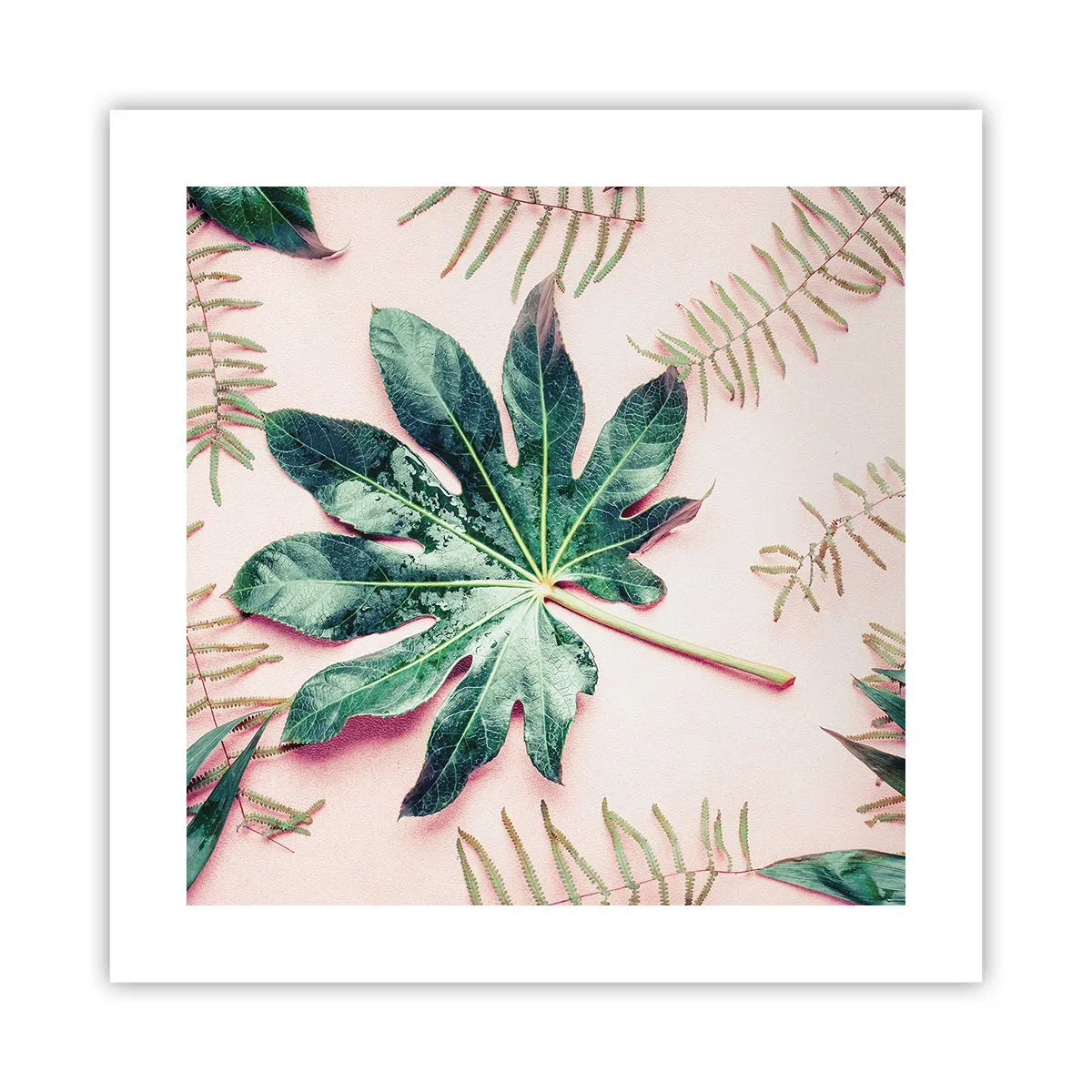 Póster - Estudio de vegetación sobre fondo rosa - 40x40 cm