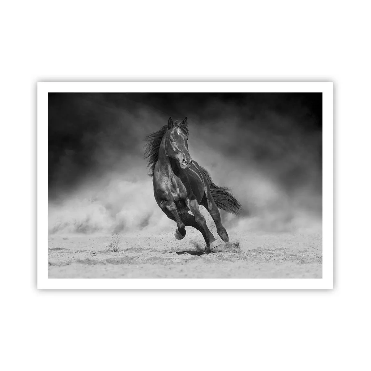 Póster - Un caballo blanco y negro galopando por la arena. - 100x70cm - Digno del propio emir - Decoración de pared moderna para salón y dormitorio ARTTOR