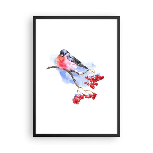 Póster en marco negro - Un pájaro en una rama con frutos rojos. - 50x70cm - Invierno en color - Decoración de pared moderna para salón y dormitorio ARTTOR