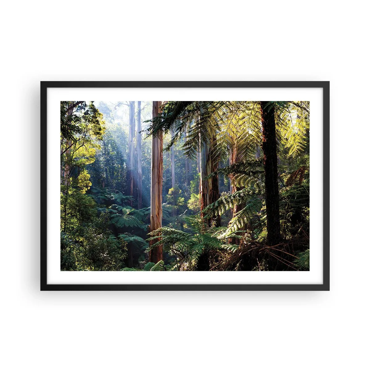 Póster en marco negro - Bosque tropical iluminado por los rayos del sol - 70x50cm - Un cuento de hadas del bosque - Decoración de pared moderna para salón y dormitorio ARTTOR