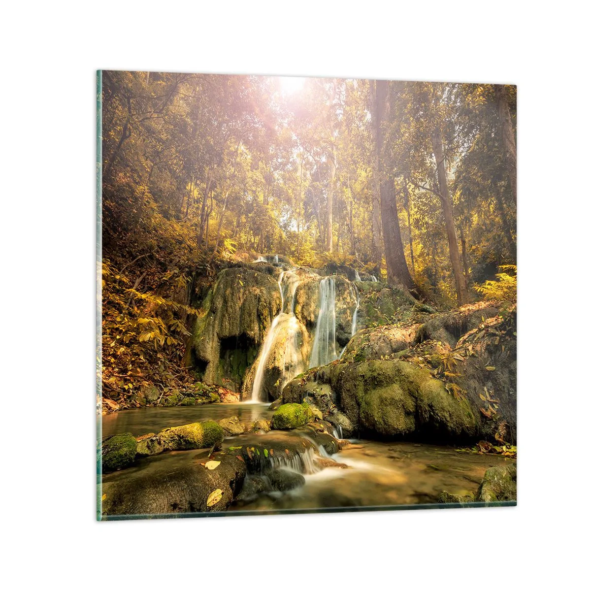 Cuadro sobre vidrio - Impresiones sobre Vidrio - Cascada forestal en verde - 60x60 cm