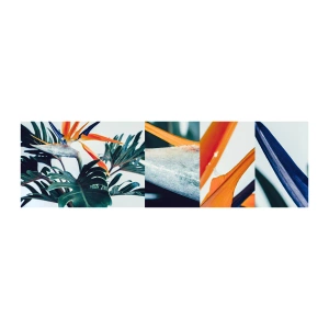 Muestra de fotomural autoadhesivo Deluxe Sticker - La jaula del pájaro colorido - Plantas, bohemia, Exótico - 100x30 cm