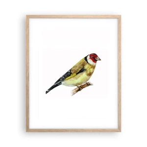 Póster en marco roble claro - Retrato de pájaro - 40x50 cm