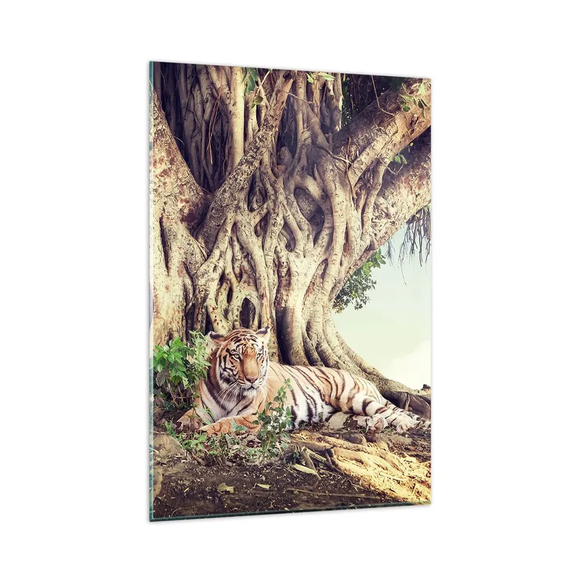 Cuadro sobre vidrio - Impresiones sobre Vidrio - Un tigre descansando bajo un árbol extendido - 80x120cm - Una visión desde el Génesis - Decoración de pared moderna para salón y dormitorio ARTTOR
