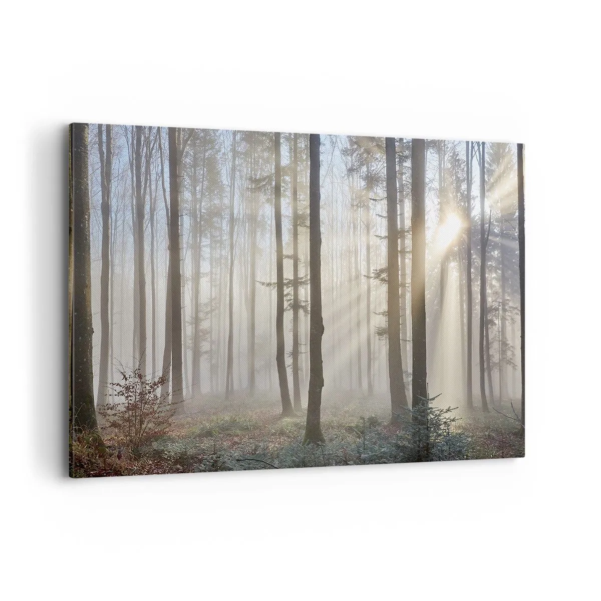Cuadro sobre lienzo - Impresión de Imagen - Un bosque en medio de una ligera niebla con rayos de sol brillando a través de los árboles. - 120x80cm - La niebla también está despierta - Decoración de pared moderna para salón y dormitorio ARTTOR