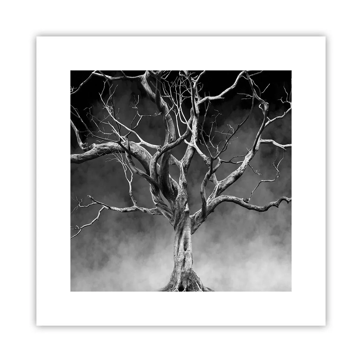 Póster - Primordial y sagrado - 30x30 cm