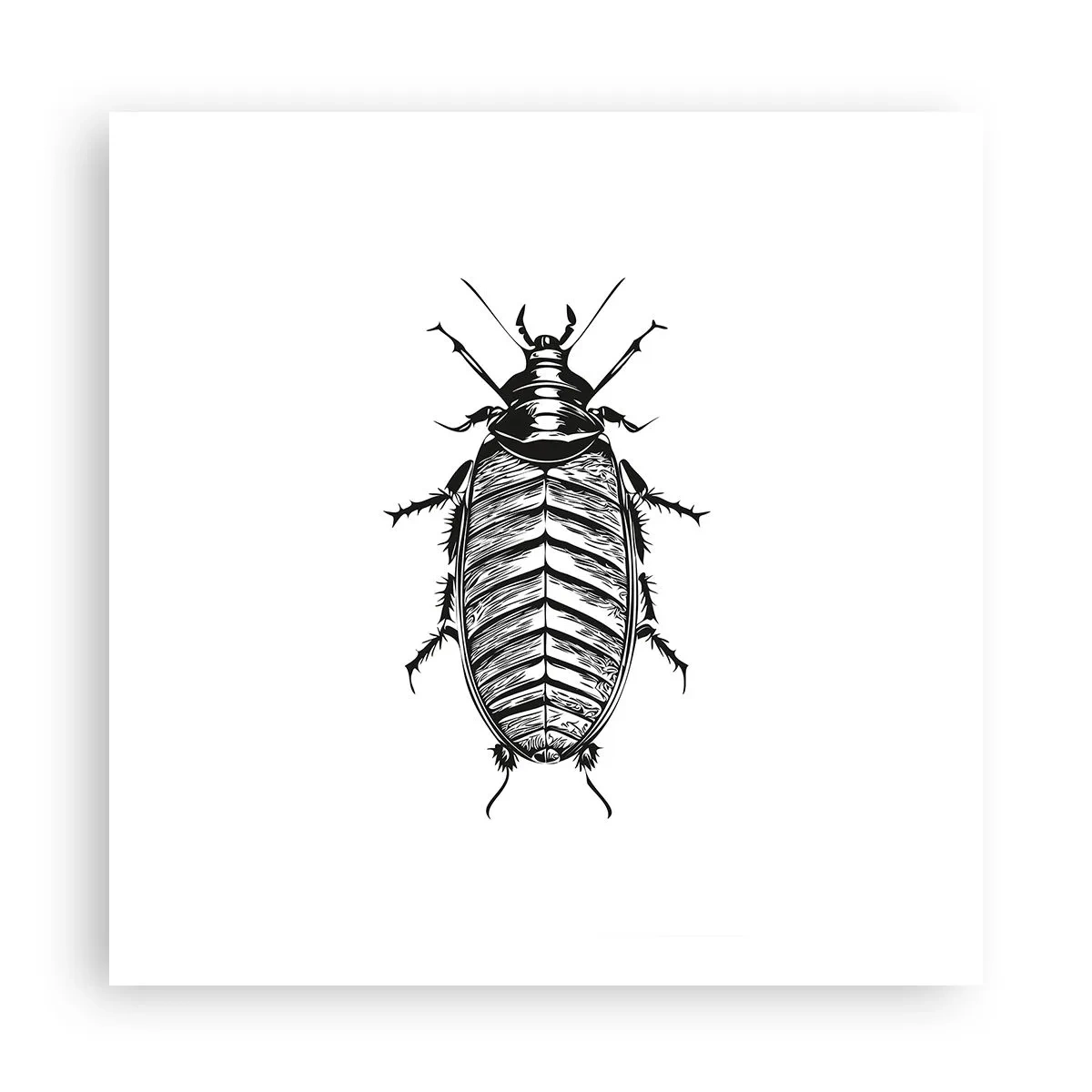 Póster - ¡Qué espécimen! - 60x60 cm