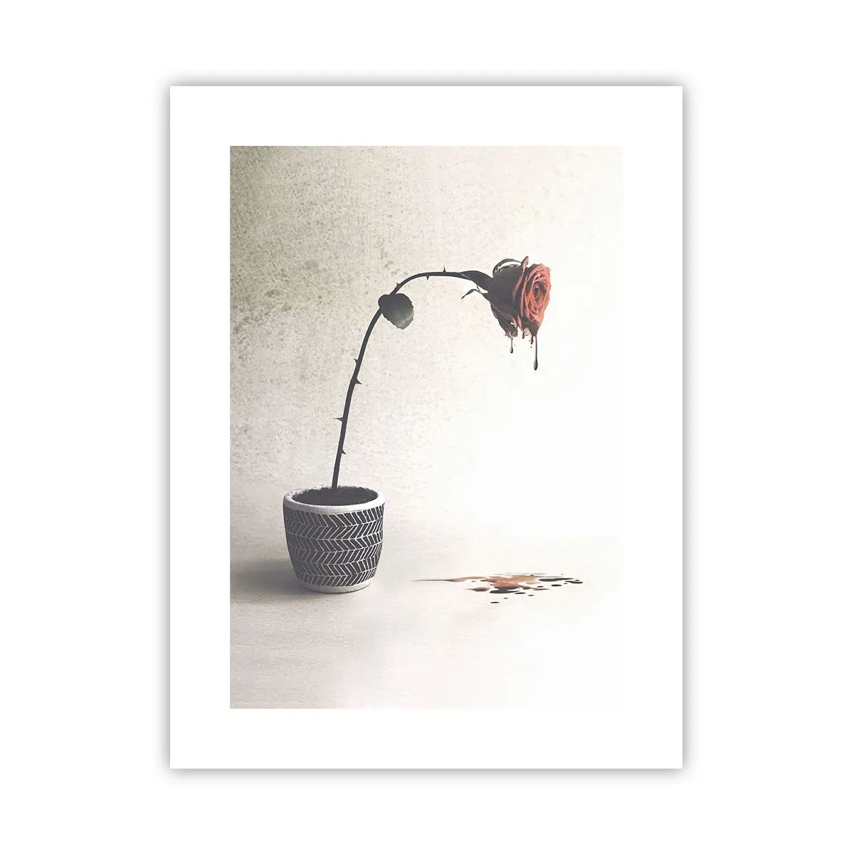 Póster - Rosa dolorosa - 30x40 cm
