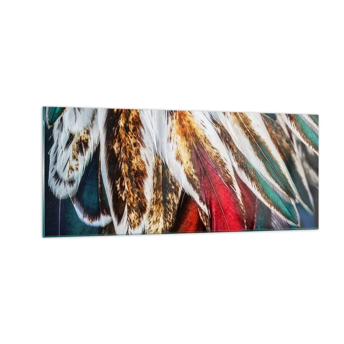 Cuadro sobre vidrio - Impresiones sobre Vidrio - Los misterios del vuelo - 100x40 cm