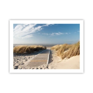 Póster - Más allá de la duna, en el susurro de la naturaleza - 70x50 cm