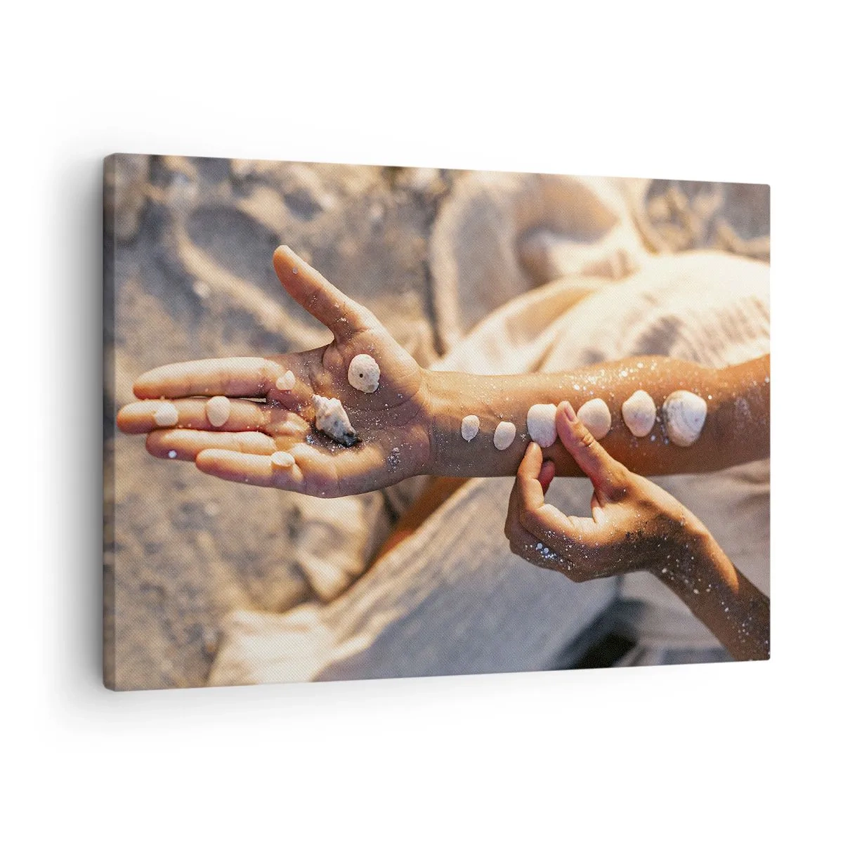 Cuadro sobre lienzo - Impresión de Imagen - Manos con conchas marinas dispuestas sobre el fondo de arena. - 70x50cm - La belleza al alcance de la mano - Decoración de pared moderna para salón y dormitorio ARTTOR