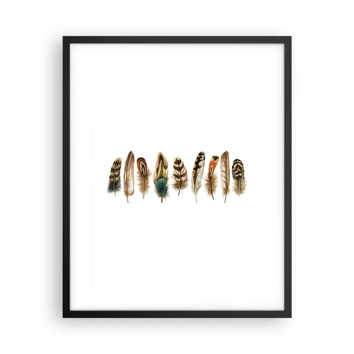 Póster en marco negro - Estudio de plumas - 40x50 cm