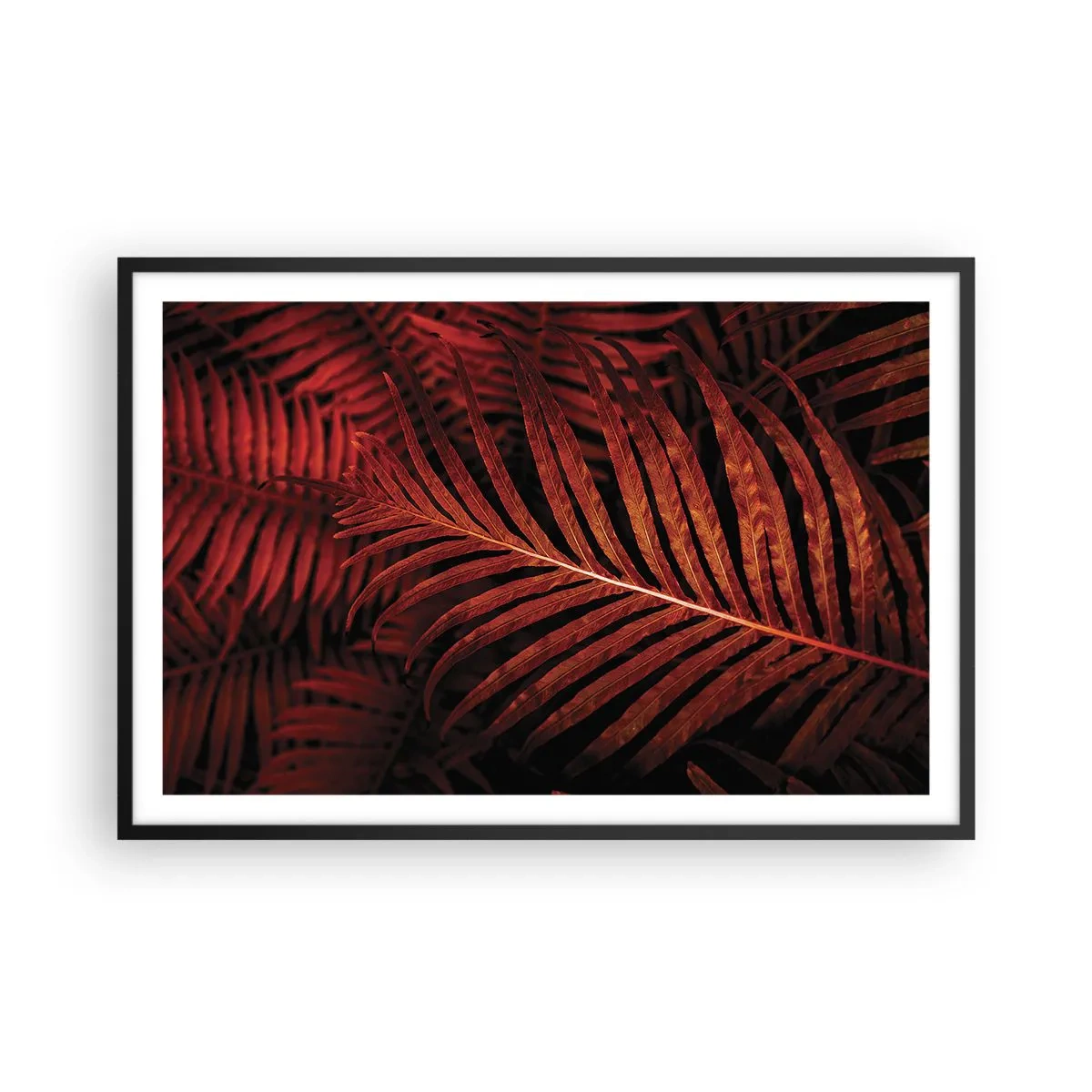 Póster en marco negro - Las brasas de la vida - 91x61 cm