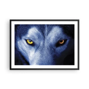 Póster en marco negro - Primer plano de la intensa mirada de un lobo sobre un fondo oscuro. - 70x50cm - La mirada hipnótica - Decoración de pared moderna para salón y dormitorio ARTTOR