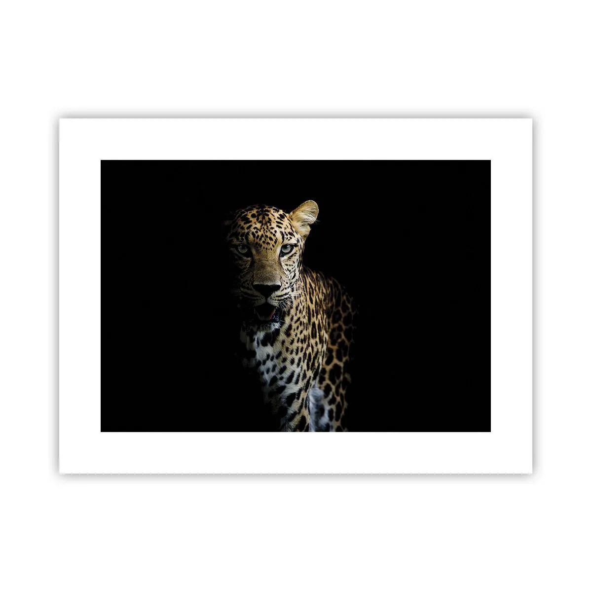 Póster - Belleza oscura - 40x30 cm