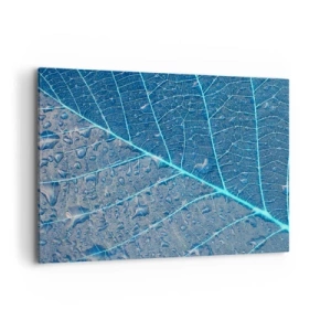 Cuadro sobre lienzo - Impresión de Imagen - Una hoja en tonos azules con gotas de agua. - 100x70cm - Vida en el azul - Decoración de pared moderna para salón y dormitorio ARTTOR